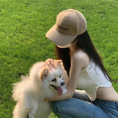 救森动物联盟